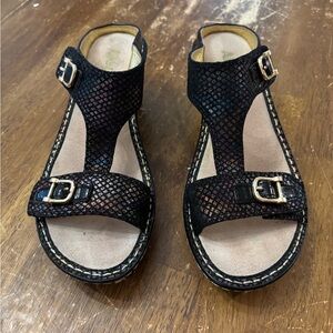 Alegria Black and Multicolor Buckle Sandals
